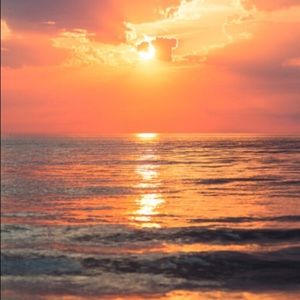 Meet your Posher, Jaryn